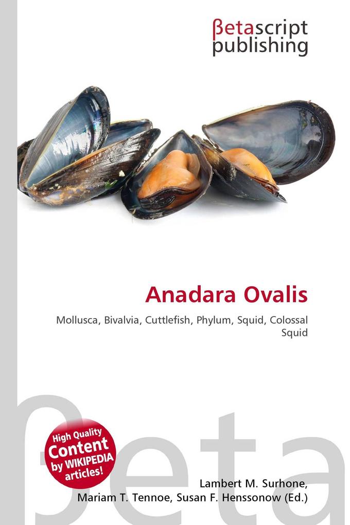 Anadara Ovalis