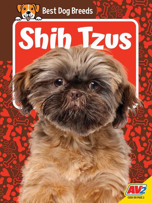 Shih Tzus