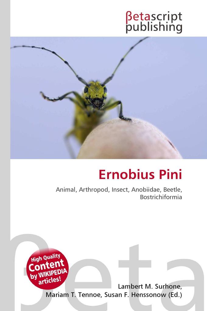 Ernobius Pini