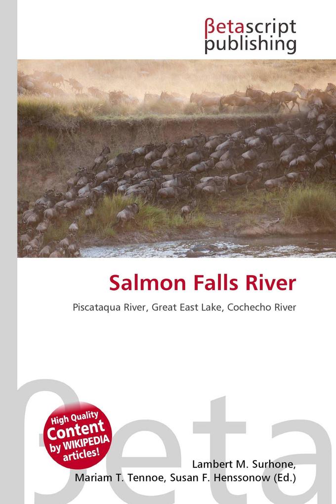 Salmon Falls River