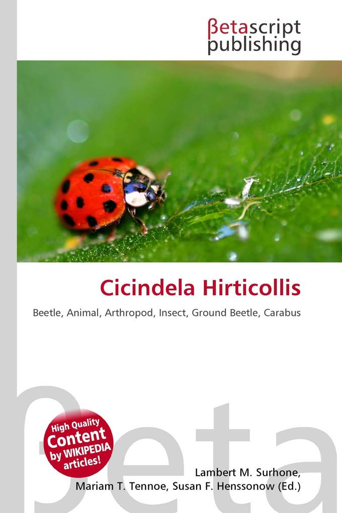 Cicindela Hirticollis