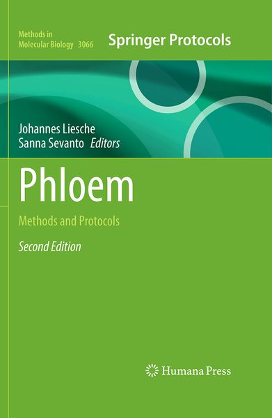 Phloem