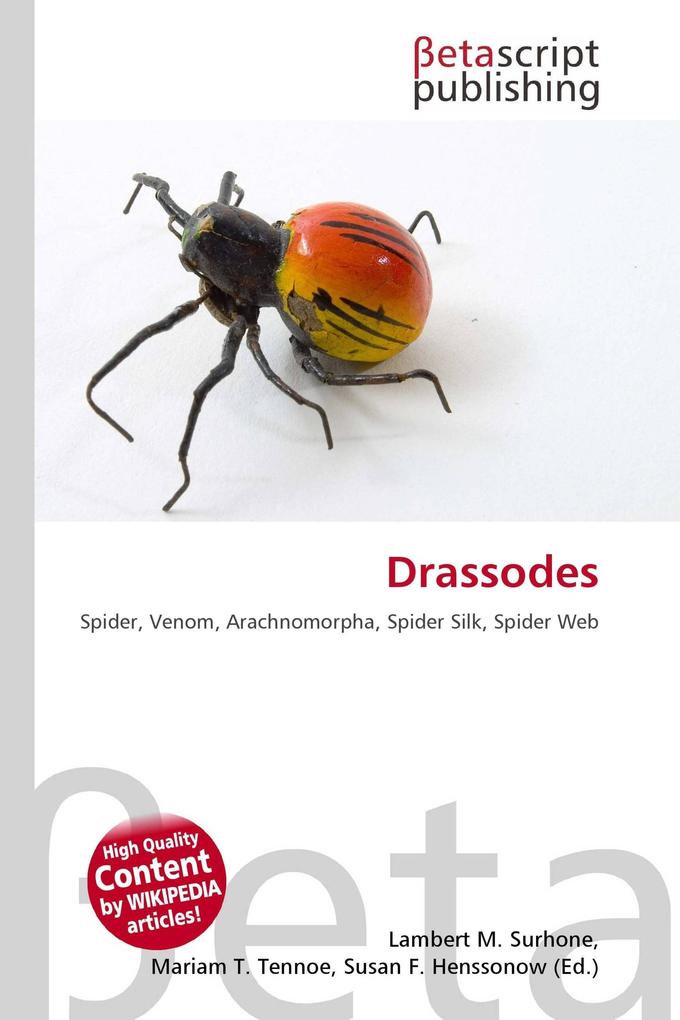 Drassodes
