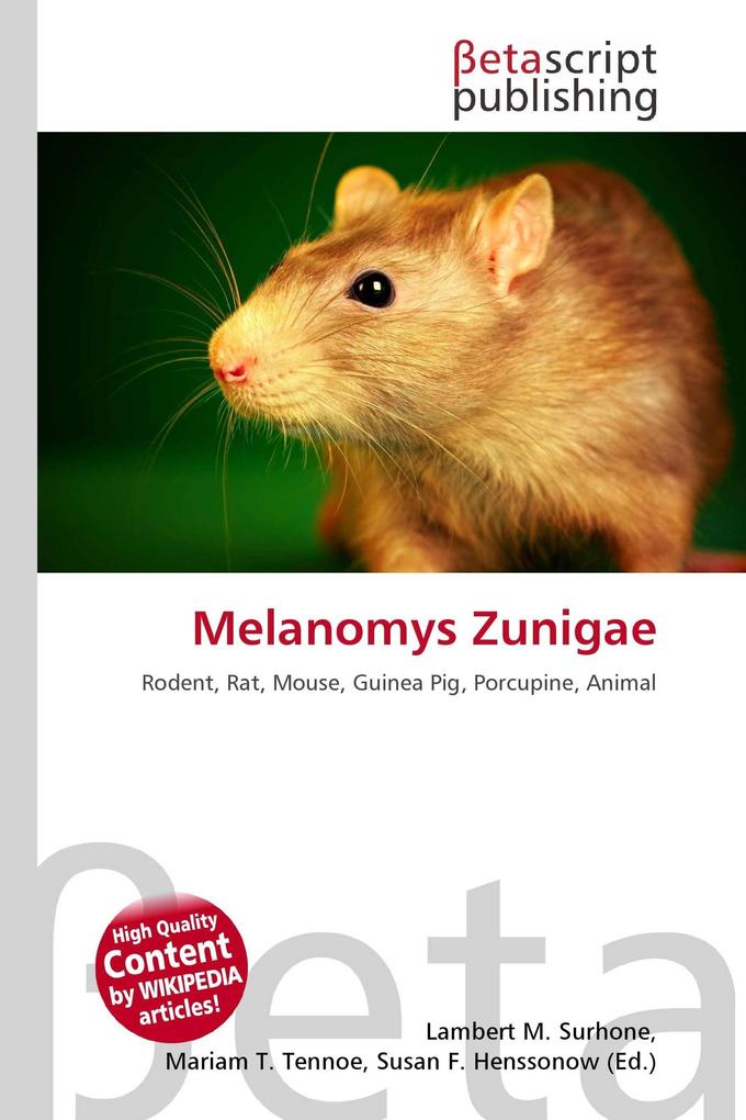 Melanomys Zunigae