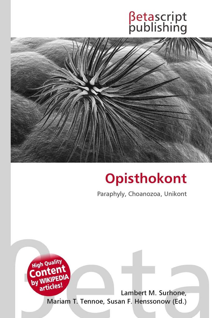Opisthokont