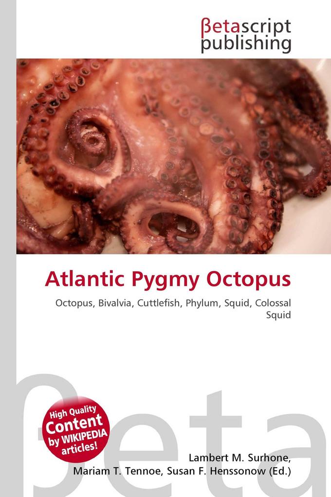 Atlantic Pygmy Octopus