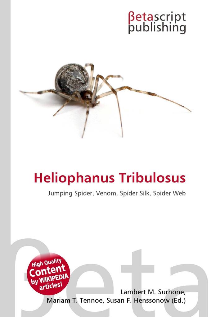 Heliophanus Tribulosus