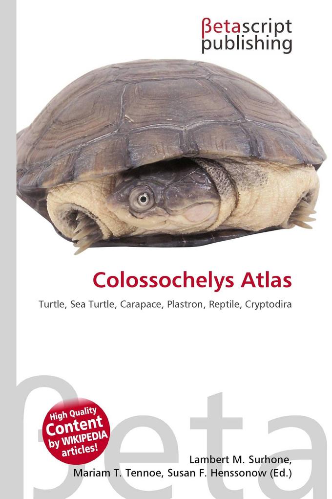 Colossochelys Atlas