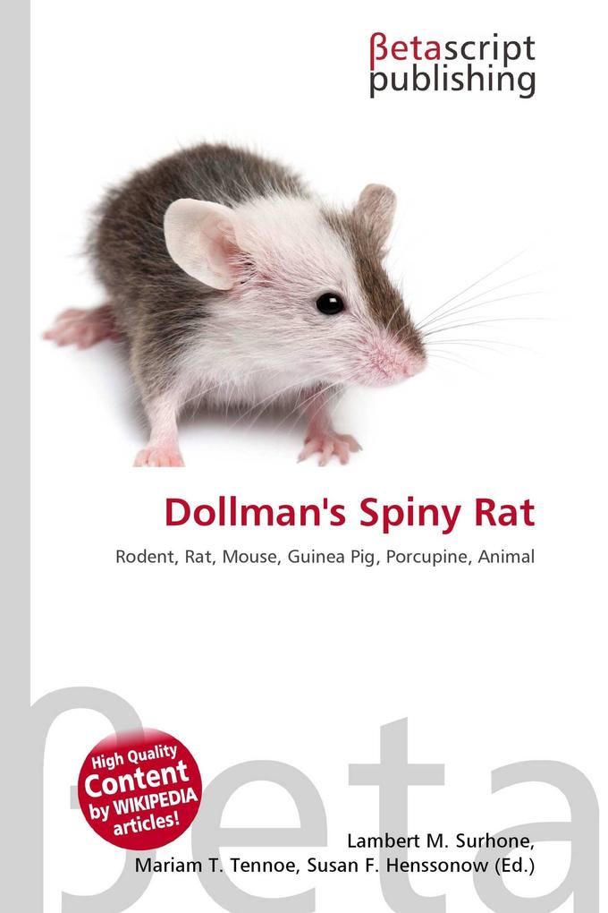 Dollman's Spiny Rat