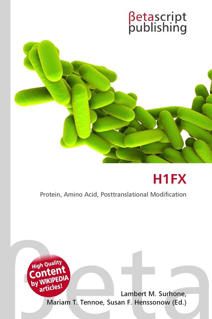 H1FX