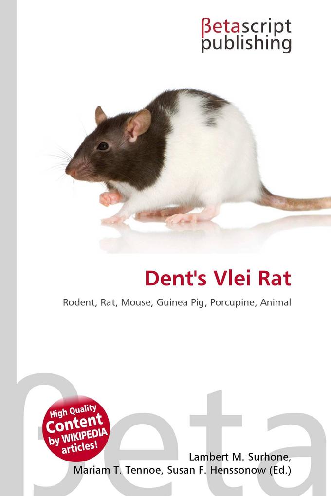 Dent's Vlei Rat
