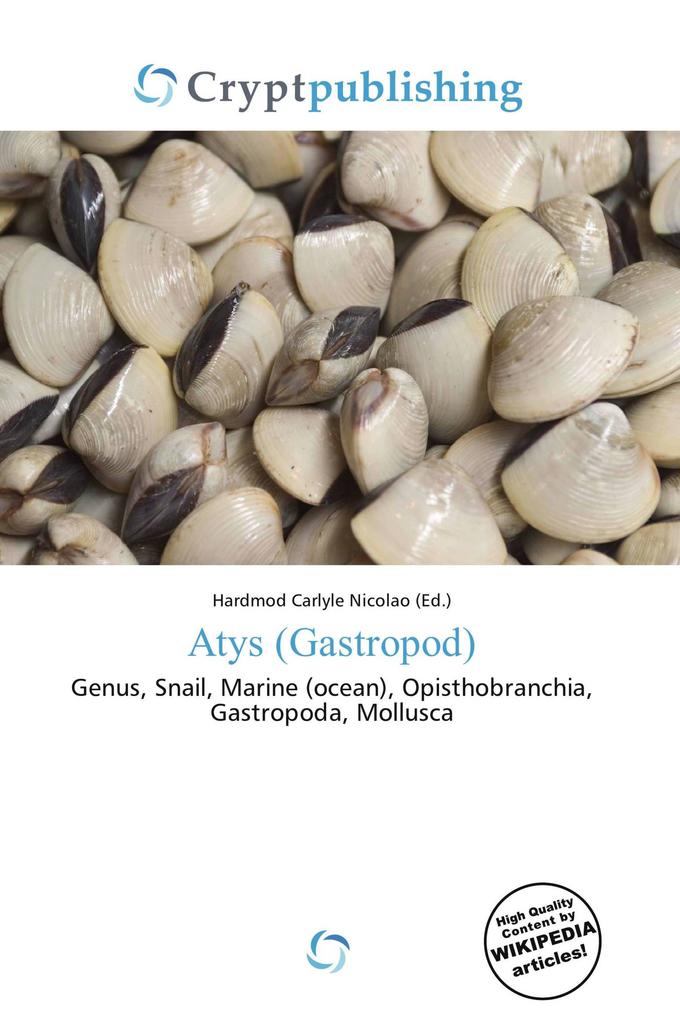 Atys (Gastropod)