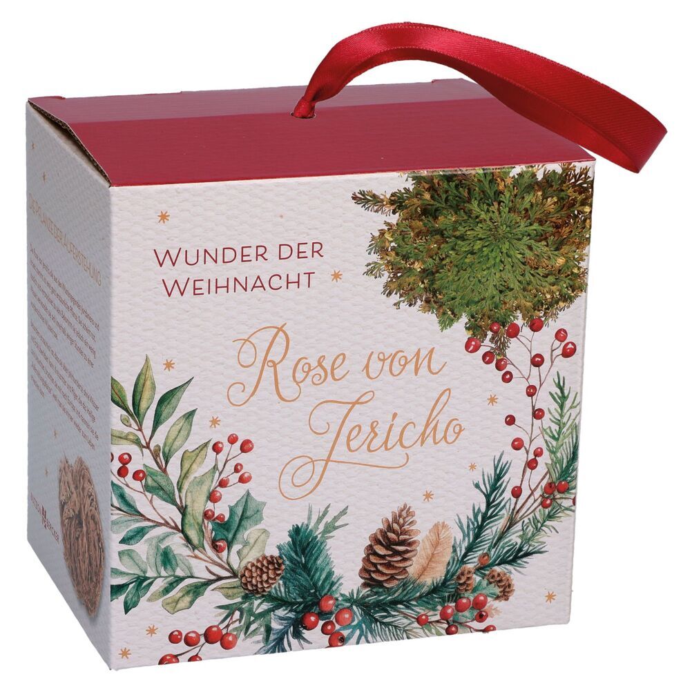 Rose von Jericho