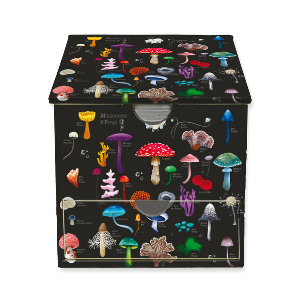 Memo Cube: Anna Stead Champignons und Pilze