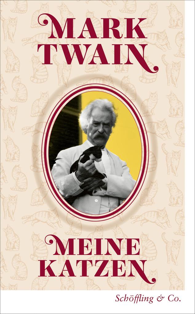 Meine Katzen