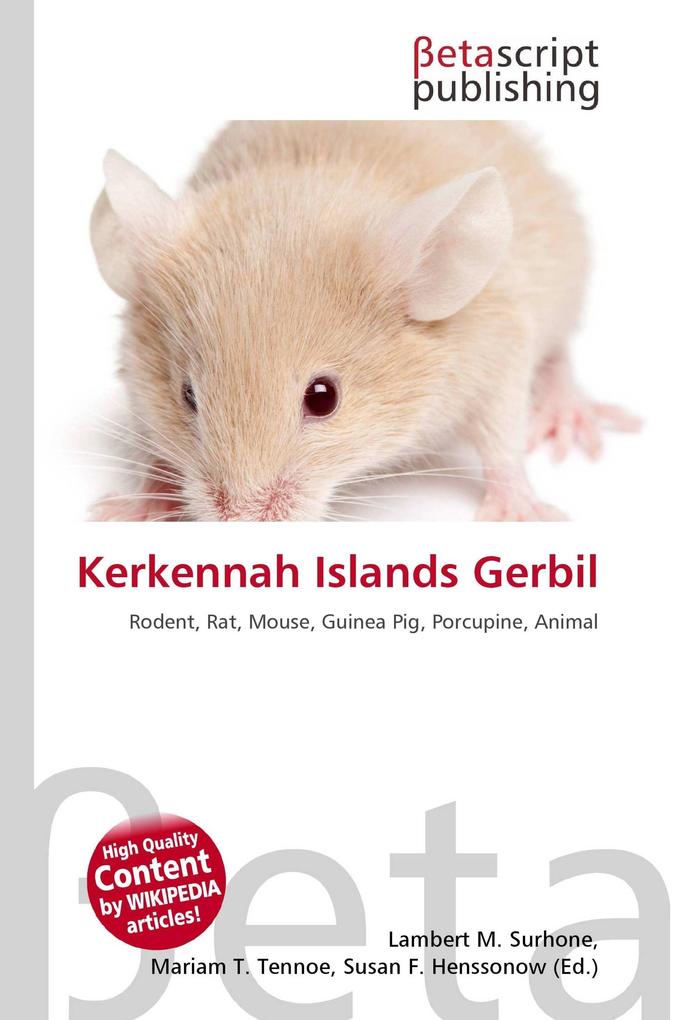 Kerkennah Islands Gerbil