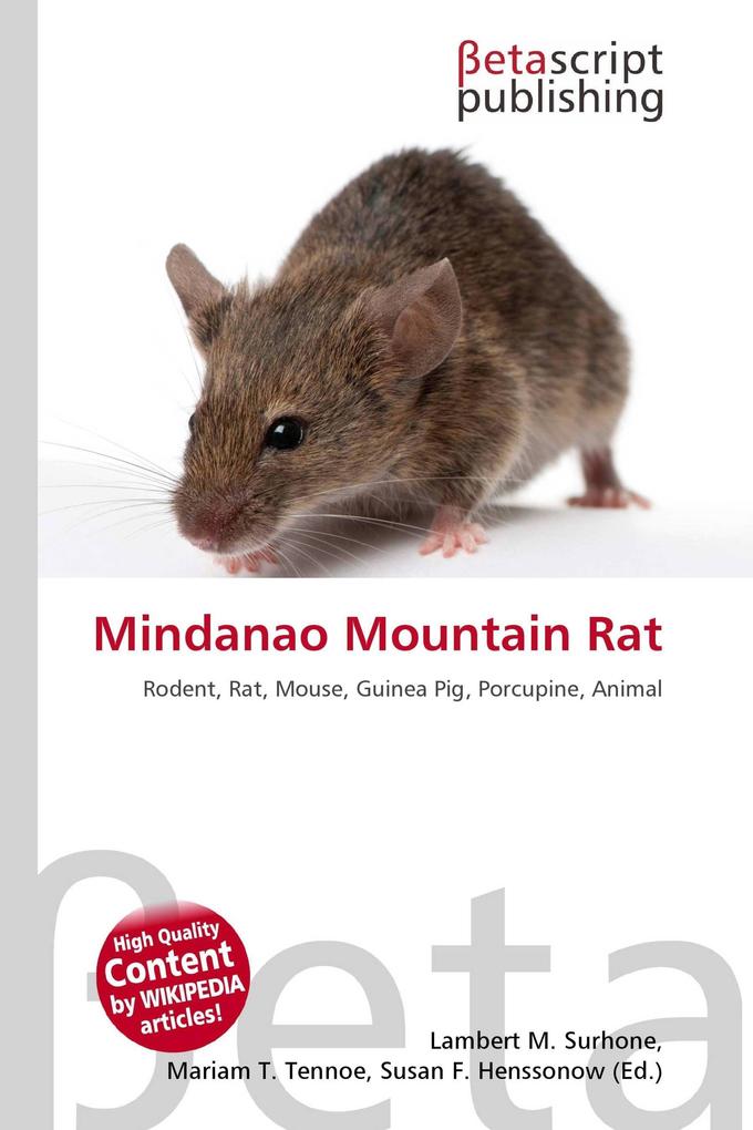 Mindanao Mountain Rat