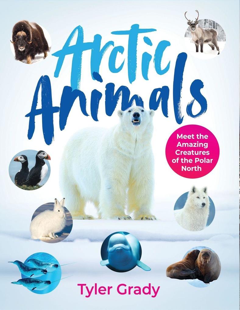 Arctic Animals