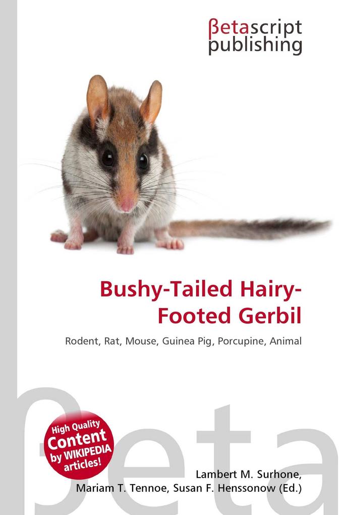 Bushy-Tailed Hairy-Footed Gerbil