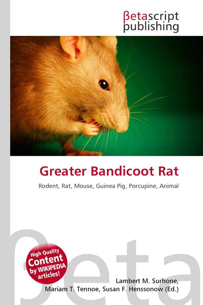 Greater Bandicoot Rat