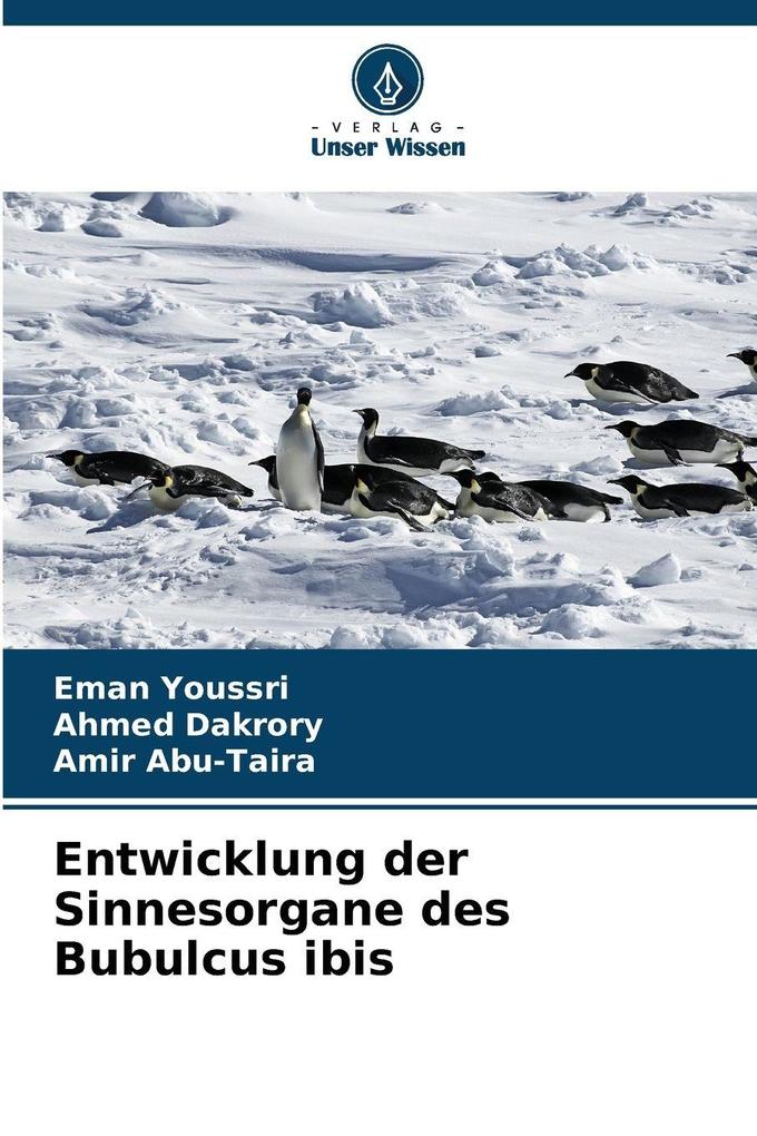 Entwicklung der Sinnesorgane des Bubulcus ibis
