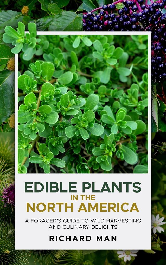 Edible Plants of North America: A Forger's Guide to Wild Harvesting and Culinary Delights