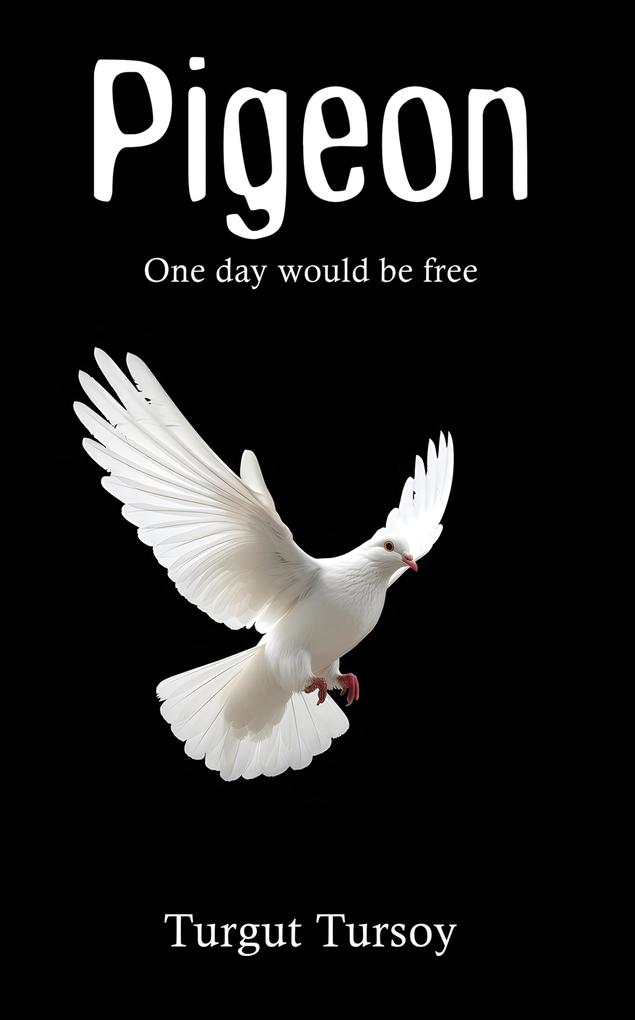 Pigeon