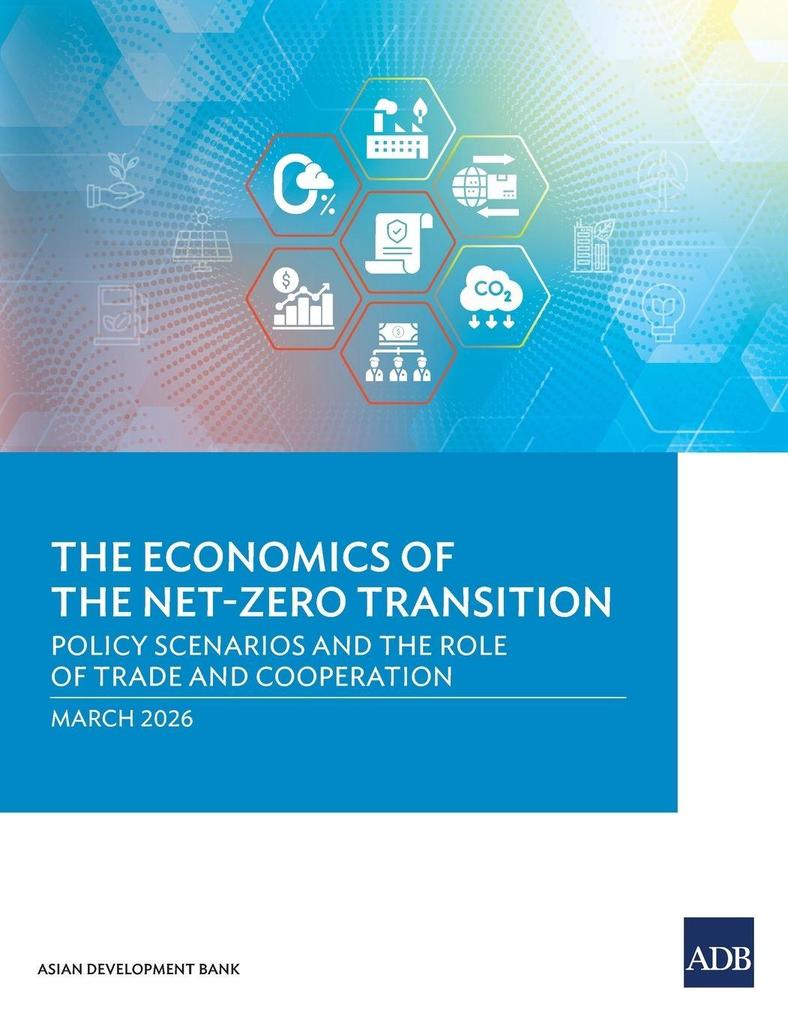 The Economics of the Net-Zero Transition