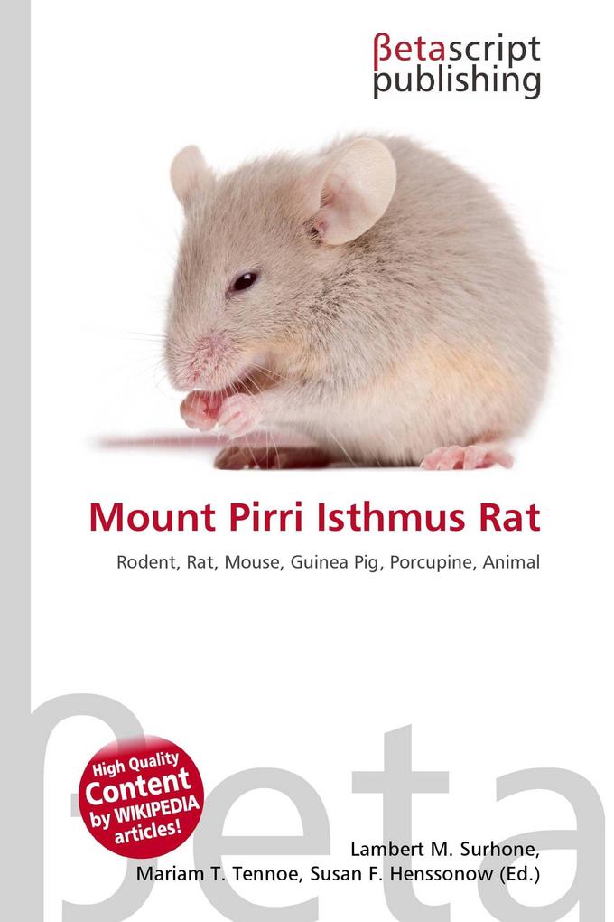Mount Pirri Isthmus Rat