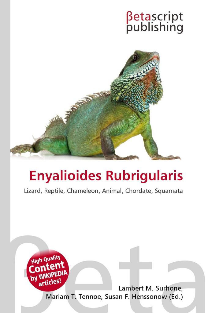 Enyalioides Rubrigularis