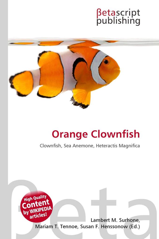 Orange Clownfish