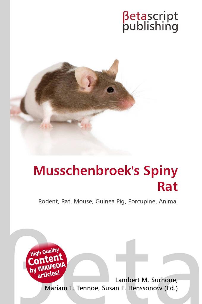 Musschenbroek's Spiny Rat