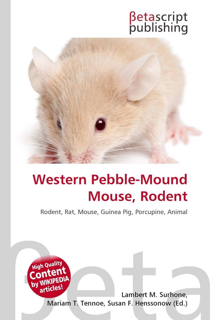 Western Pebble-Mound Mouse Rodent