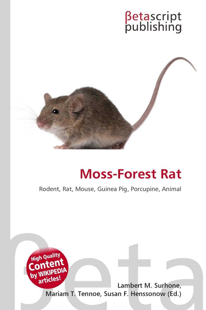 Moss-Forest Rat