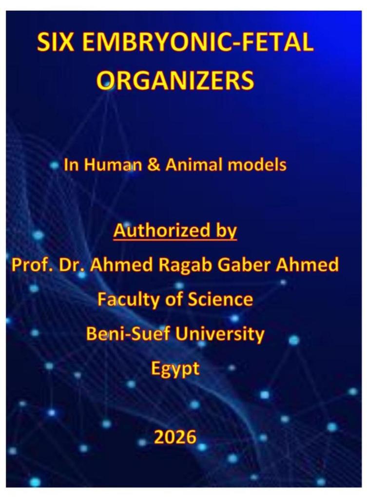 Six Embryonic-fetal organizers