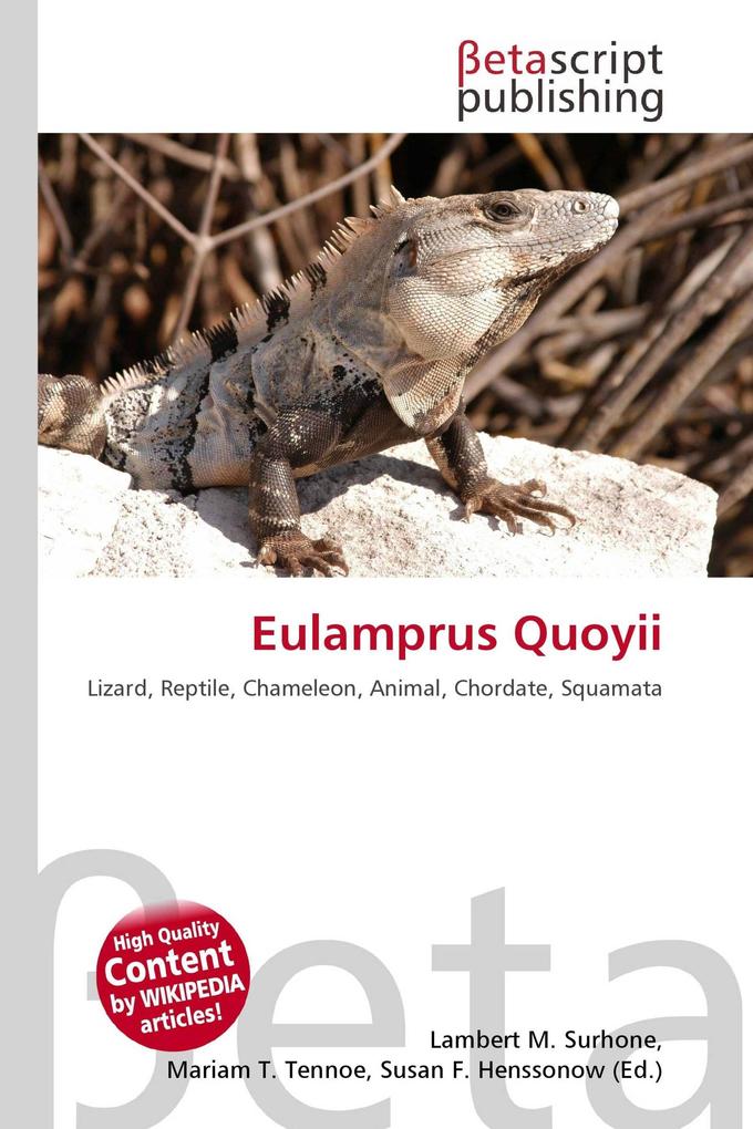 Eulamprus Quoyii
