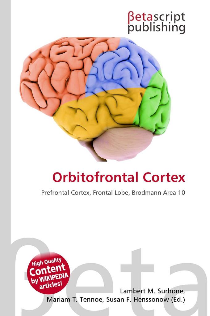 Orbitofrontal Cortex