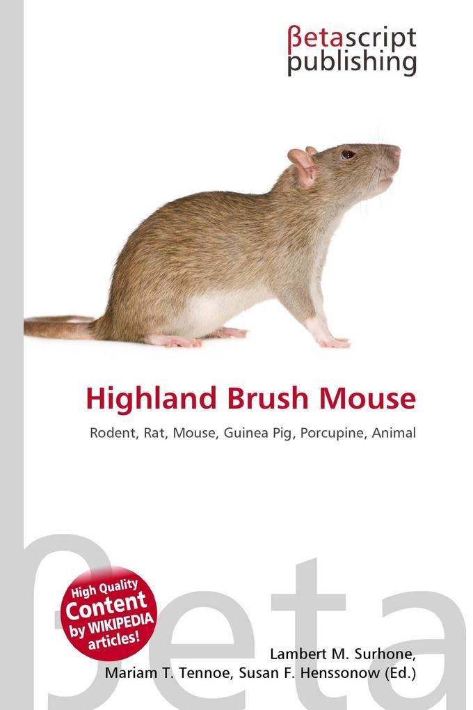 Highland Brush Mouse