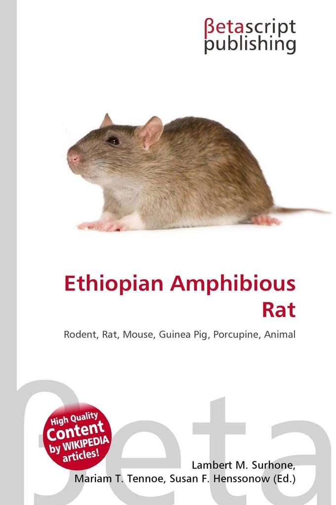 Ethiopian Amphibious Rat
