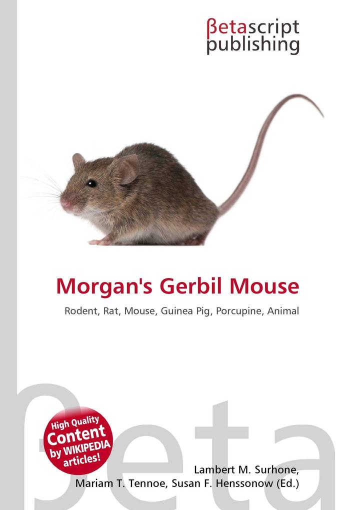 Morgan's Gerbil Mouse