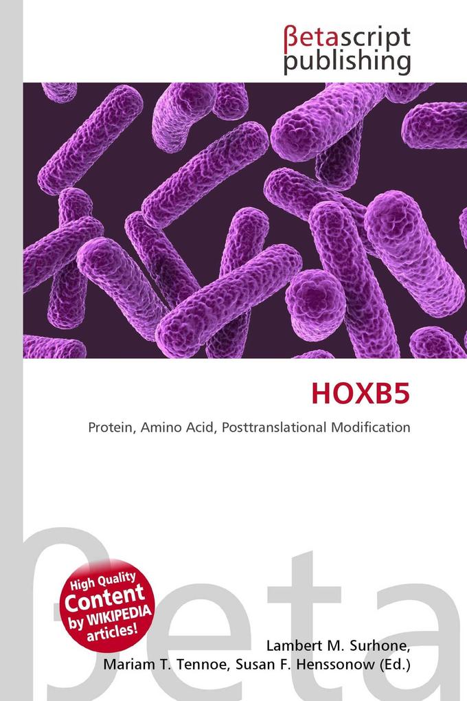 HOXB5