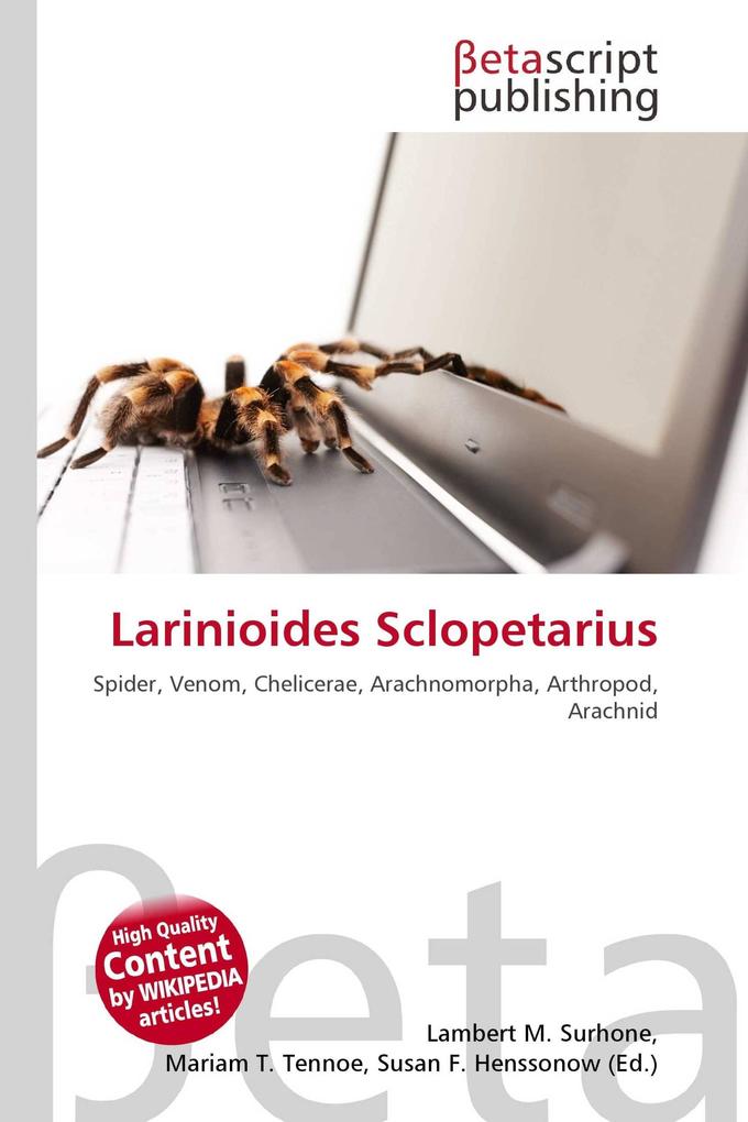 Larinioides Sclopetarius