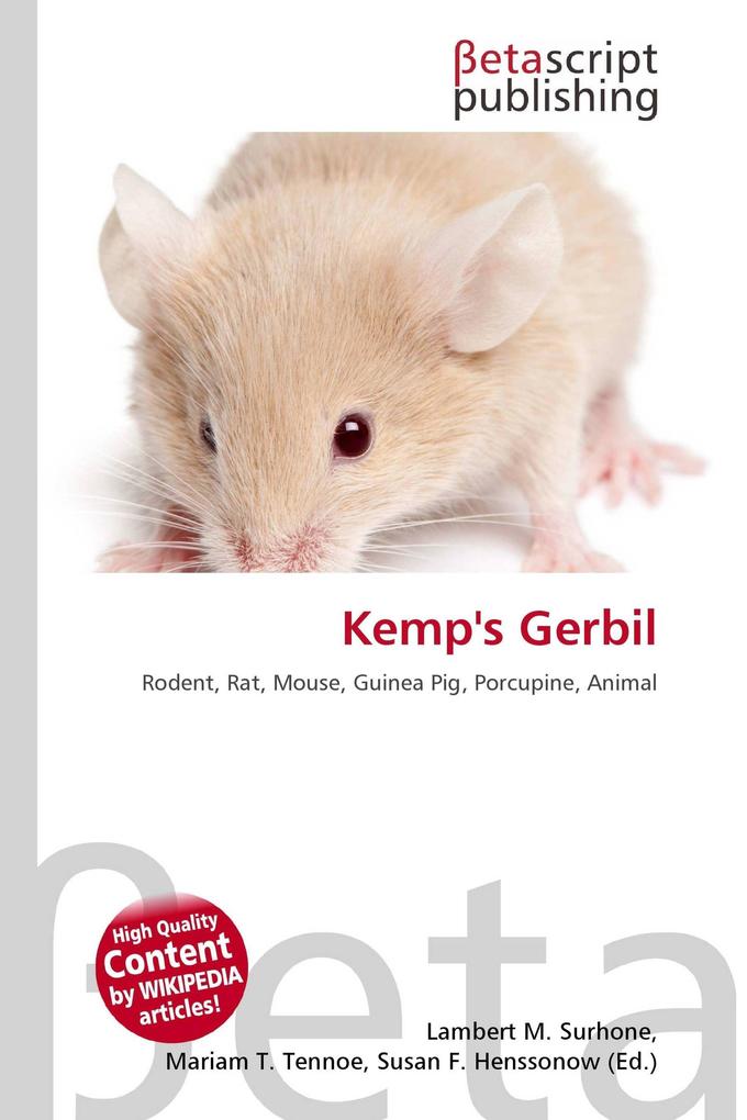 Kemp's Gerbil