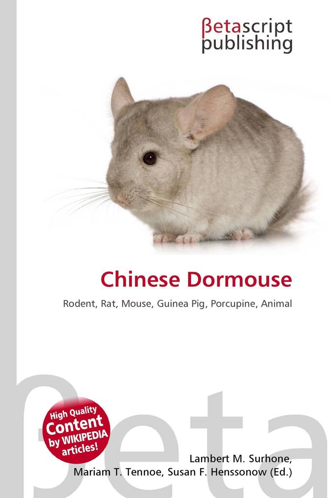 Chinese Dormouse
