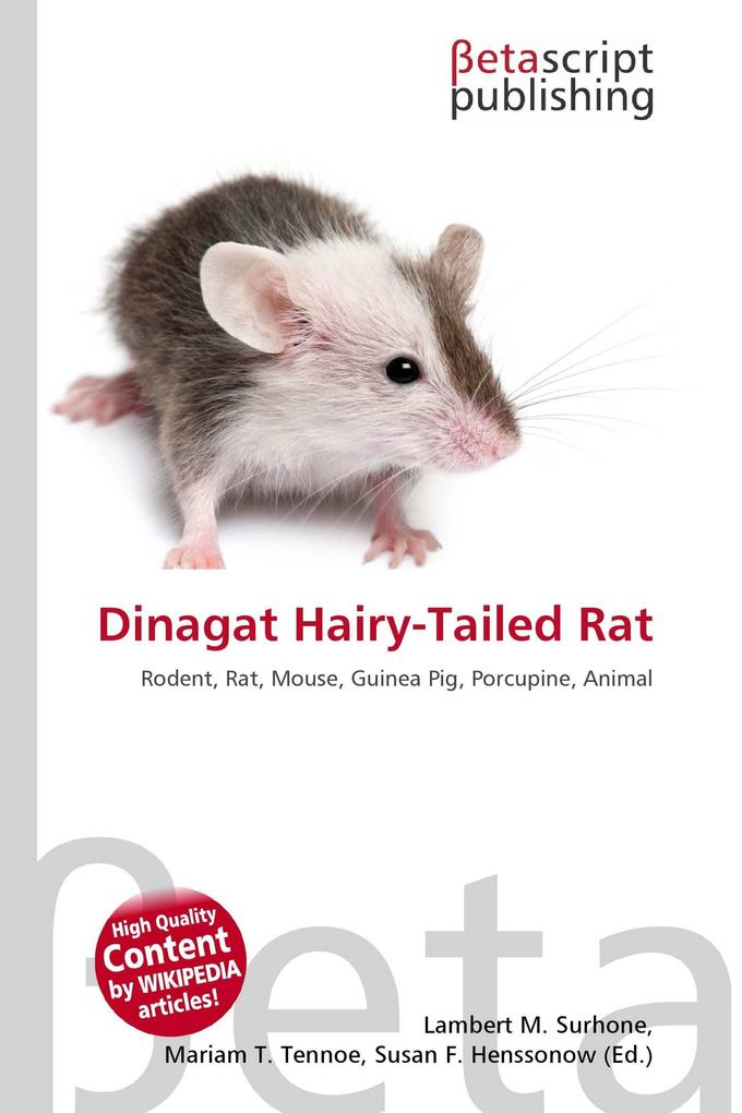 Dinagat Hairy-Tailed Rat