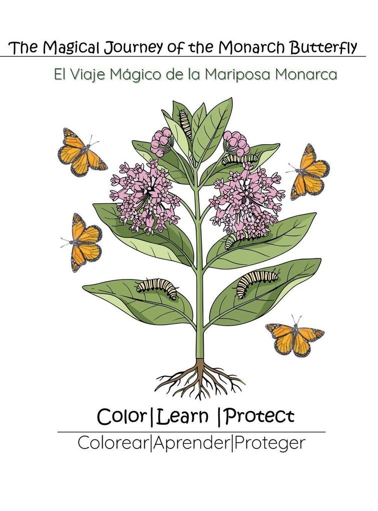 En Espanol Cultural Coloring Book