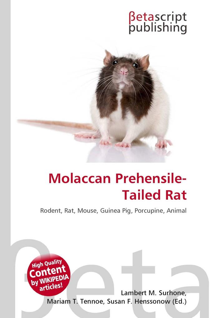 Molaccan Prehensile-Tailed Rat