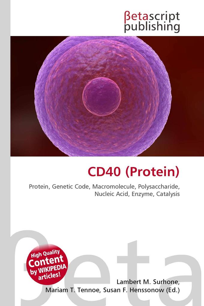 CD40 (Protein)