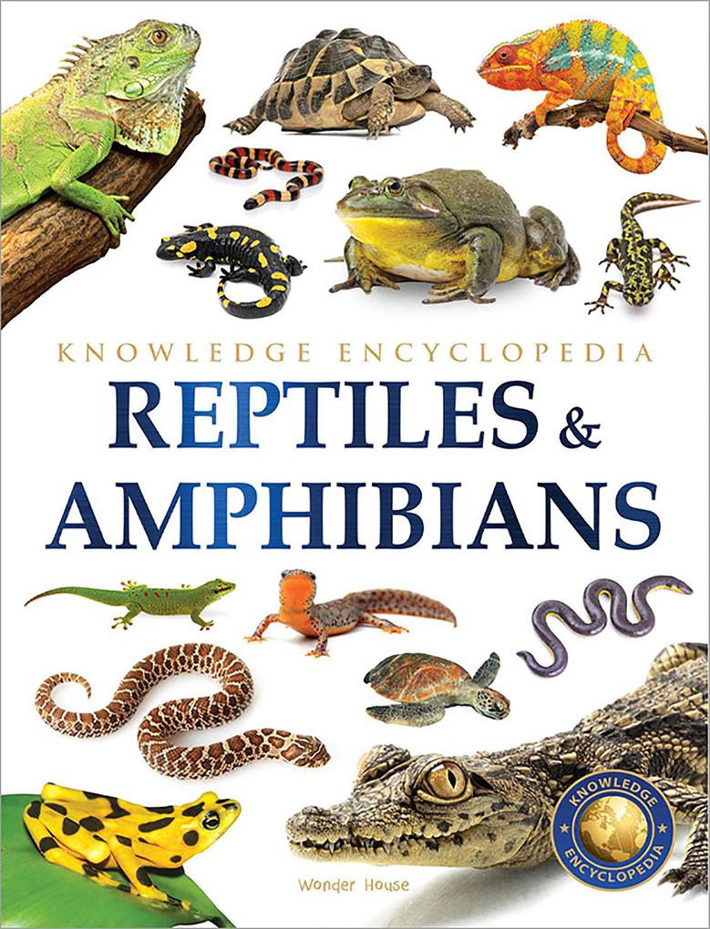 Animals - Reptiles and Amphibians : Knowledge Encyclopedia For Children