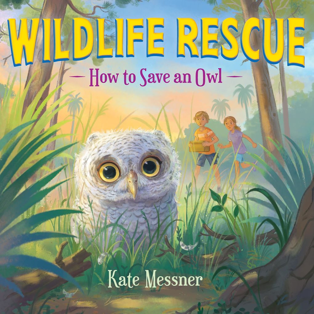 How to Save an Owl